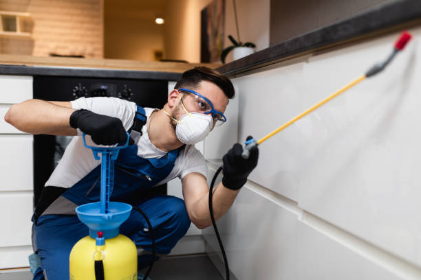 Best Residential Pest Control  in Enid, OK