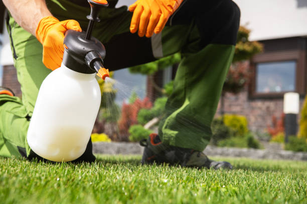 Best Pest Prevention Services  in Enid, OK