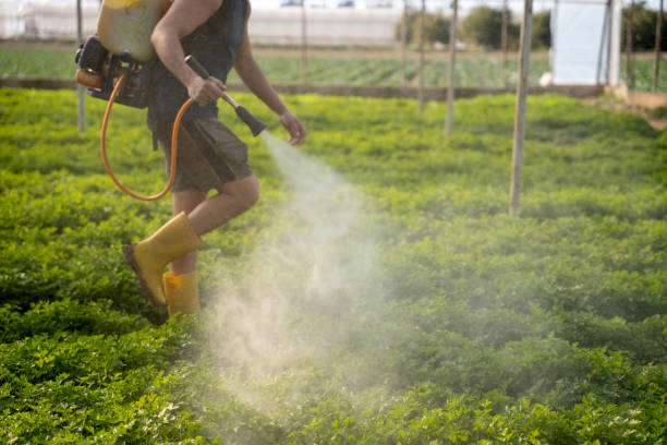 Best Pest Prevention Services  in Enid, OK