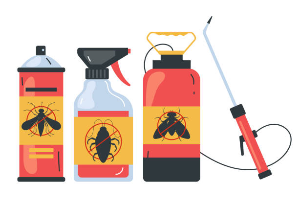 Professional Pest Control in Enid, OK