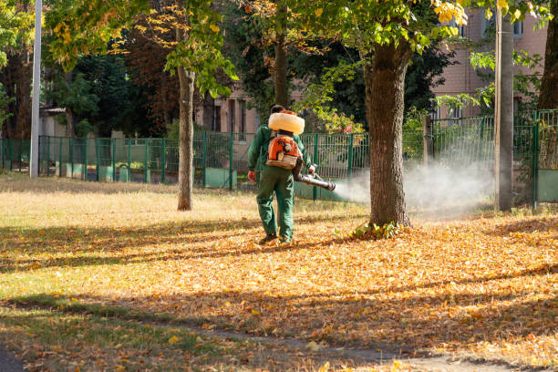 Best Bed Bug Extermination  in Enid, OK